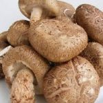 Multiple shiitake mushrooms