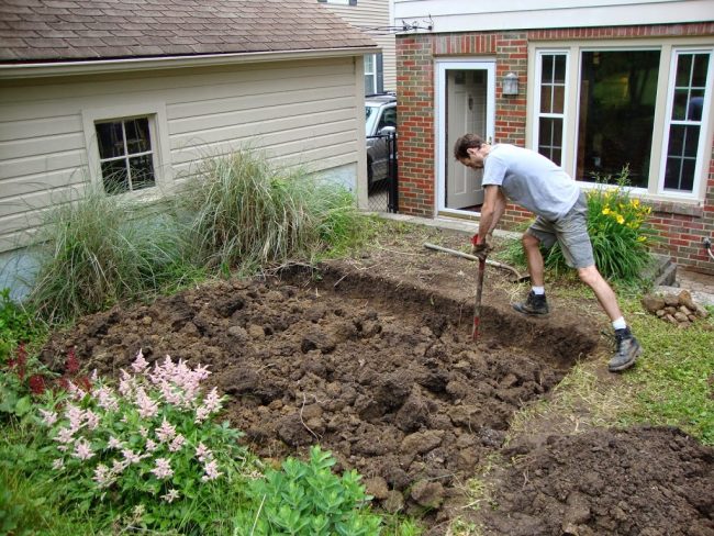 Man digging a garden plot
