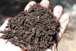 compost that has cured