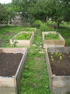 Raised Garden Beds: Pros, Cons, and Alternatives
