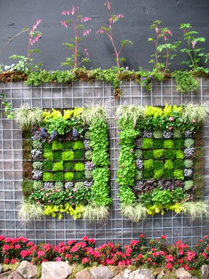 vertical gardening wall