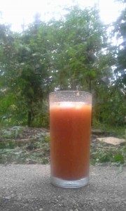 Glass of cherry tomato juice