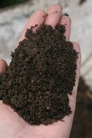 Compost – Organic Recycling is Gaining Ground