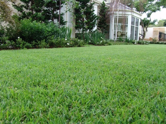 Organic Lawn Care Basics: Convert Your Lawn to Organic in 6 Easy Steps
