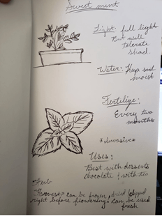 Plant Journal Sample Page