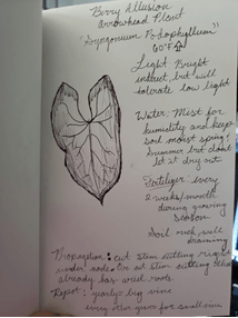 Plant journal sample page 2