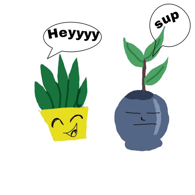 plant talk
