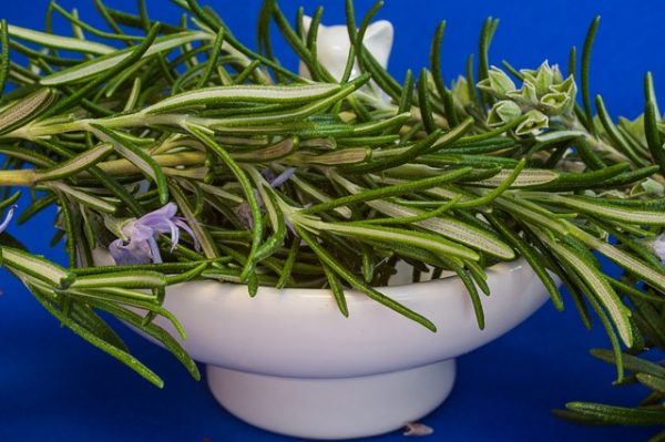 fresh rosemary leaves and flowers in a wide white bowl