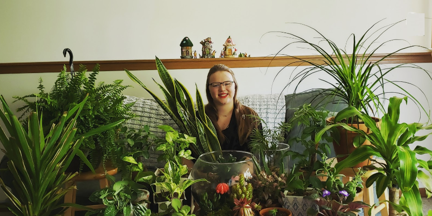 How I Created My Houseplant Jungle, and How You Can Grow Yours